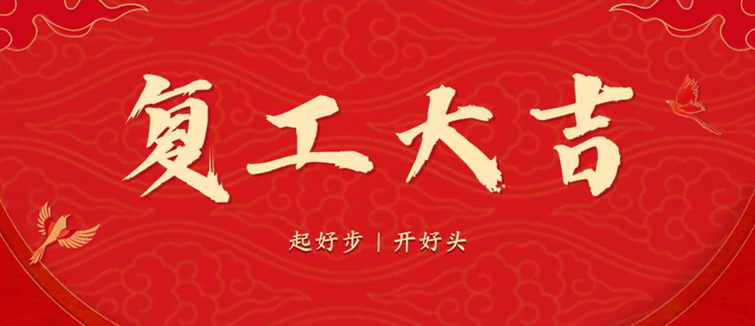 <strong>上好開(kāi)工第一課，干出新年新氣象--海龍化工召開(kāi)春節(jié)后復(fù)工復(fù)產(chǎn)專(zhuān)題部署會(huì)議</strong>